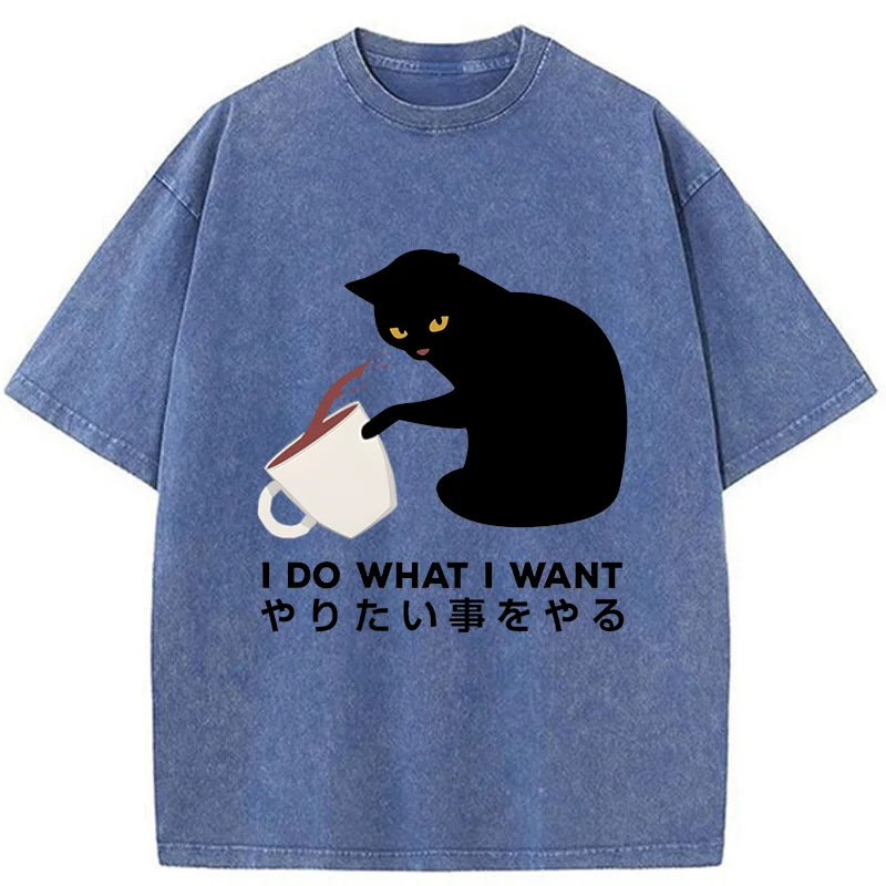 Modecanvas Tsundere Cat Funny Washed T-Shirt