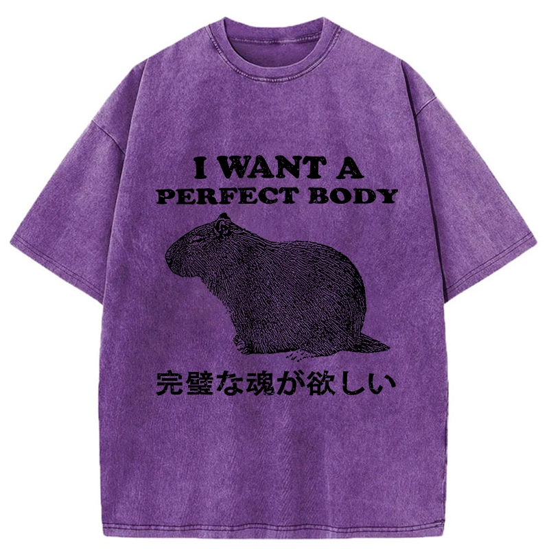 Modecanvas I Want A Perfect Body Washed T-Shirt