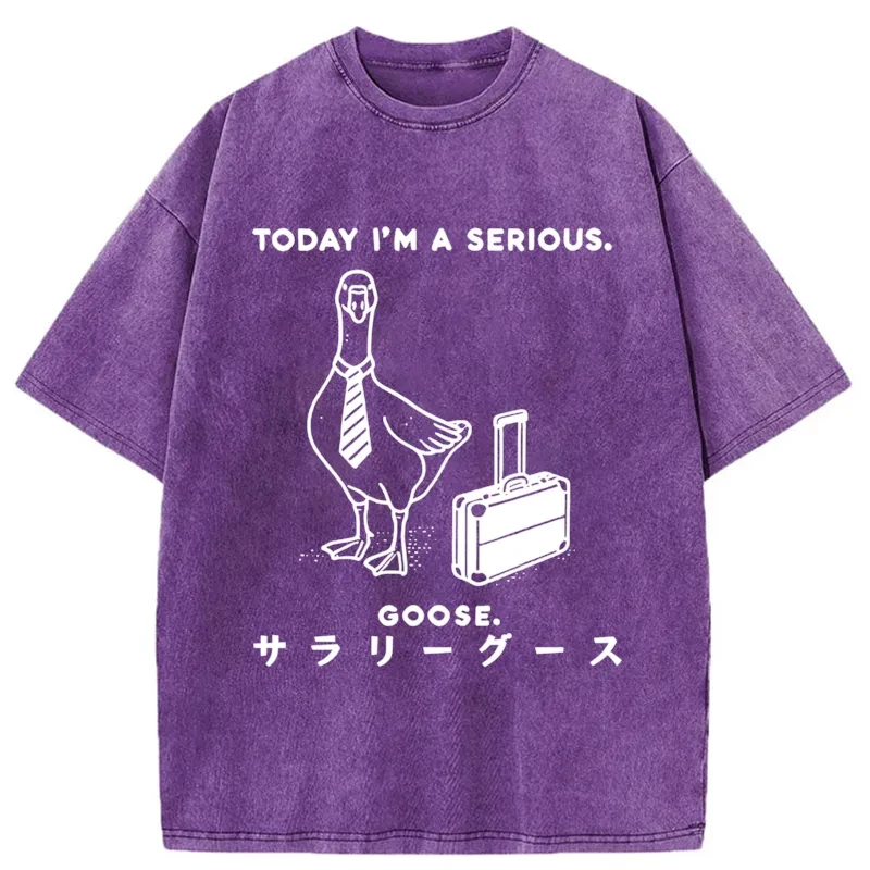 Modecanvas Hard Working Goose Washed T-Shirt