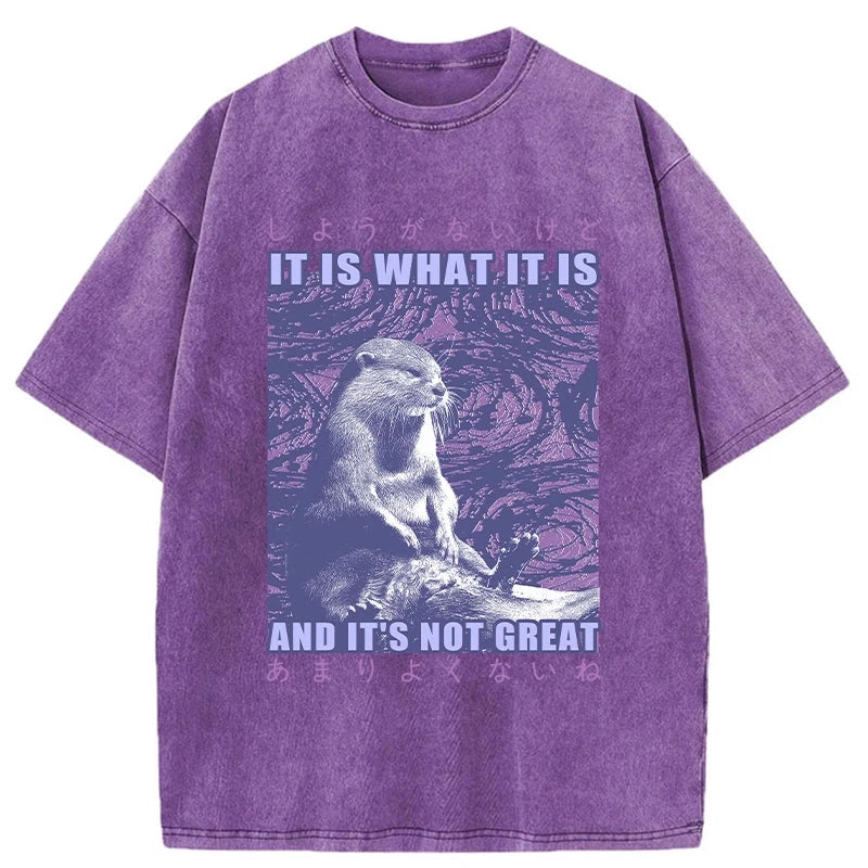 Modecanvas Frustrated Otter Japanese Washed T-Shirt