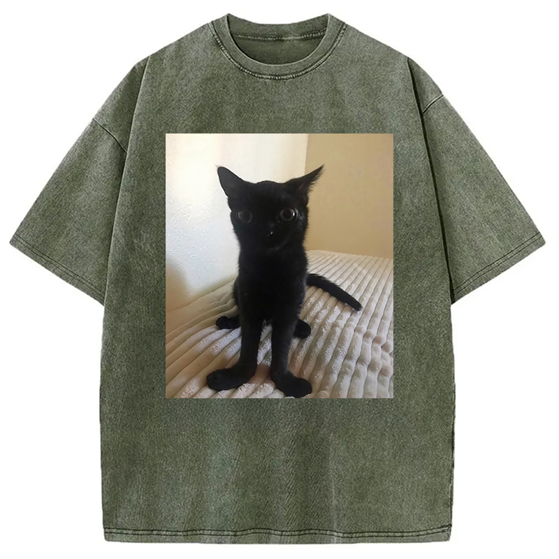 Modecanvas Big Foot Jinx Black Cat Washed T-Shirt