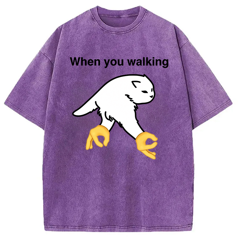 Modecanvas When You Walking Cursed Cat Meme DTG Printing Washed T-Shirt