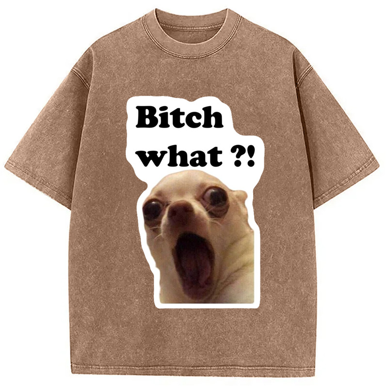 Modecanvas Funny Dog Face Meme Washed T-Shirt