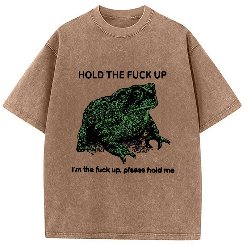 Modecanvas Funny Frog Meme Washed T-Shirt