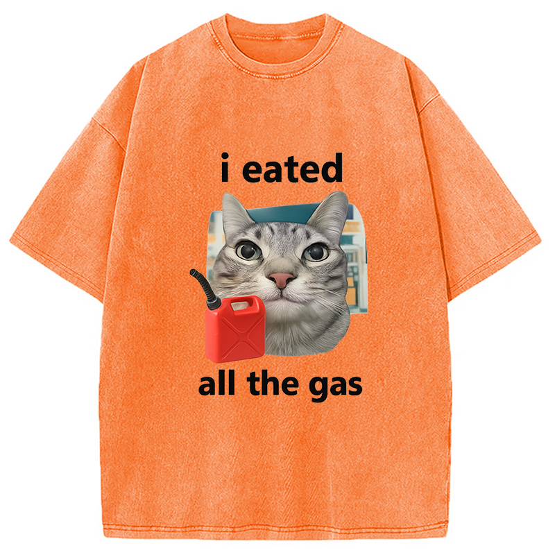 Modecanvas I Eated All The Gas Cat Funny Washed T-Shirt-modecanvas
