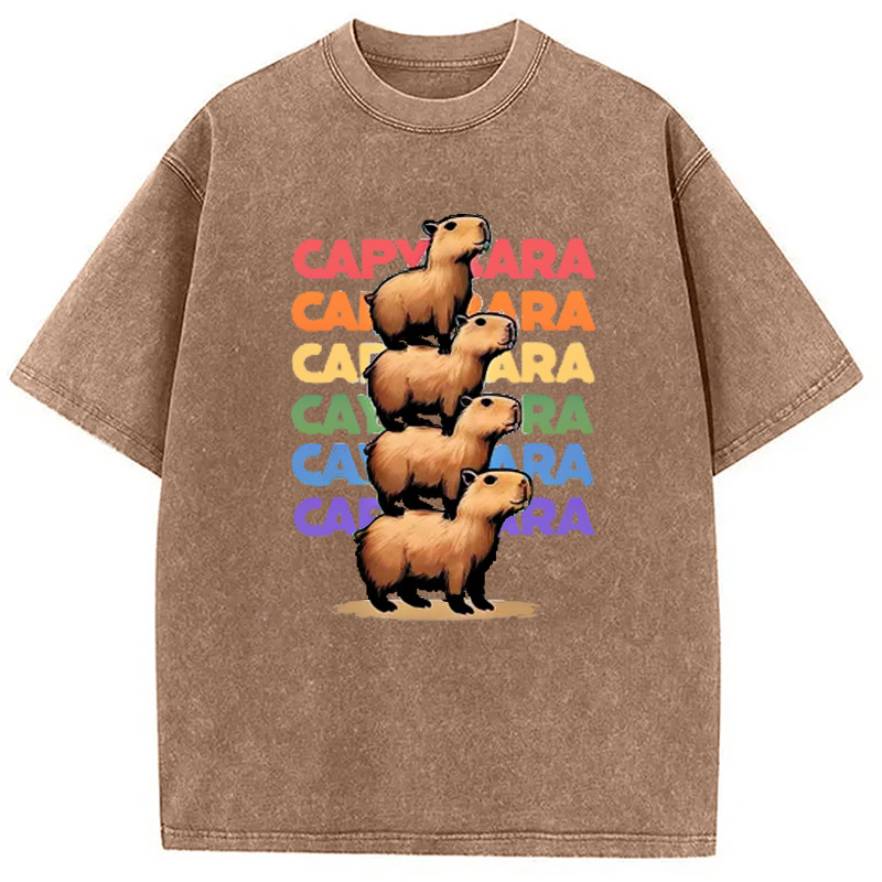 Modecanvas Funny Capybara Washed T-Shirt