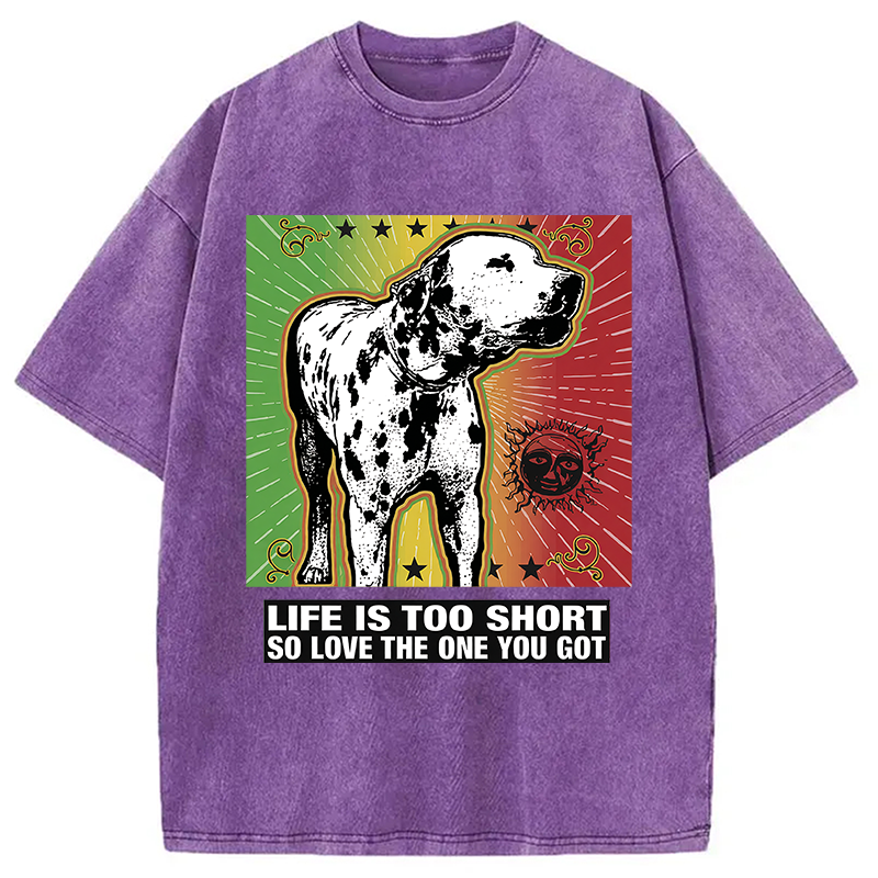 Modecanvas Life Is Too Short So Love The One You Got DTG Printing Washed T-Shirt
