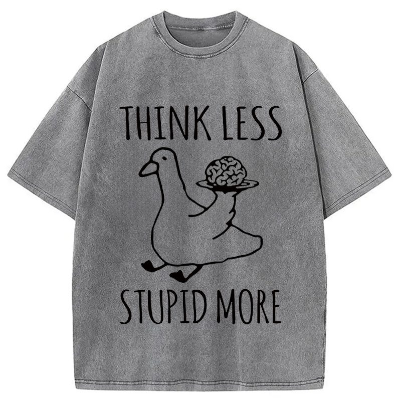 Modecanvas Foolish Goose Is Even More Foolish DTG Printing Washed T-Shirt