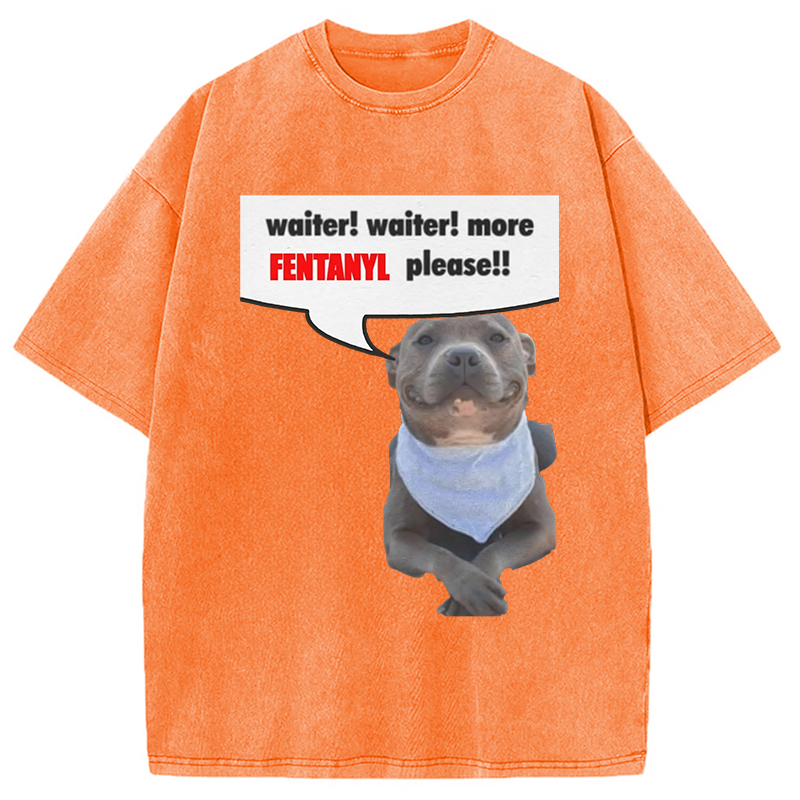 Modecanvas Waiter Waiter More Fentanyl Meme Washed T-Shirt