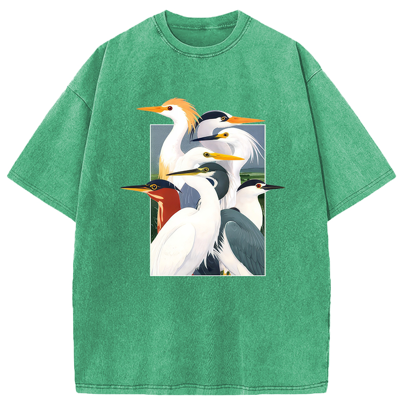Modecanvas Wetland Assembly DTG Printing Washed T-Shirt