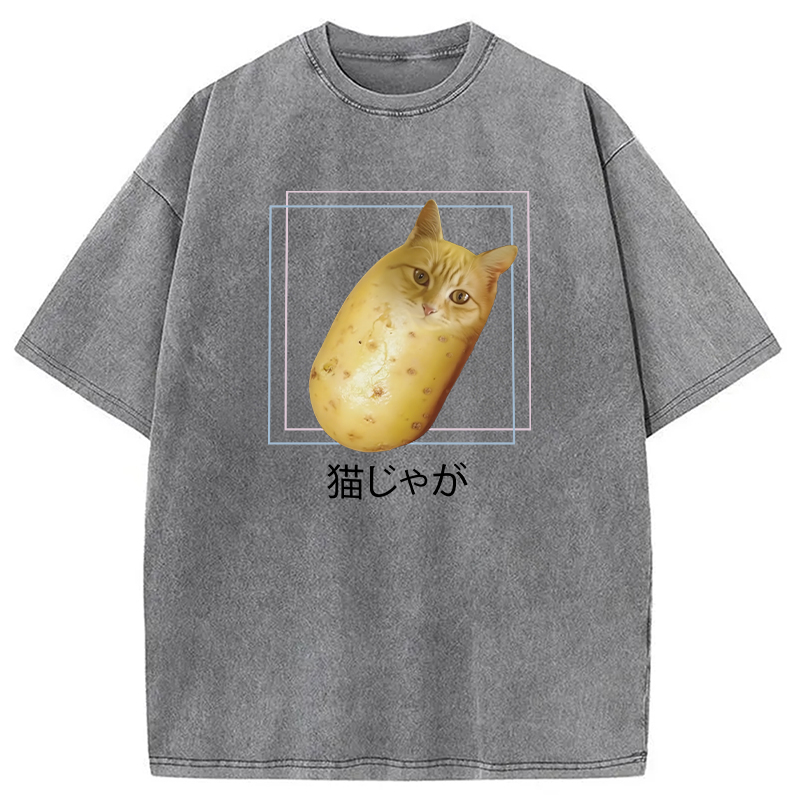 Modecanvas Silly Potato Cat Funny Meme Washed T-Shirt