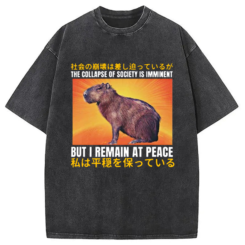 Modecanvas The Collapse of Society is Imminent Washed T-Shirt