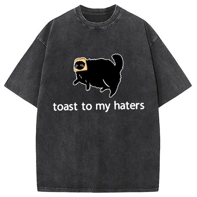 Modecanvas Toast To My Haters Washed T-Shirt