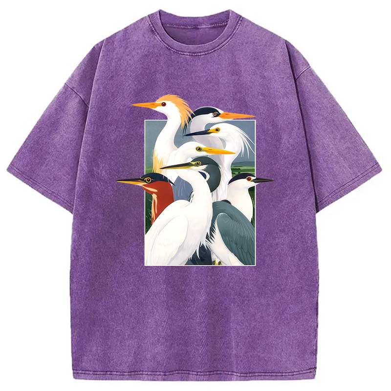 Modecanvas Wetland Assembly DTG Printing Washed T-Shirt