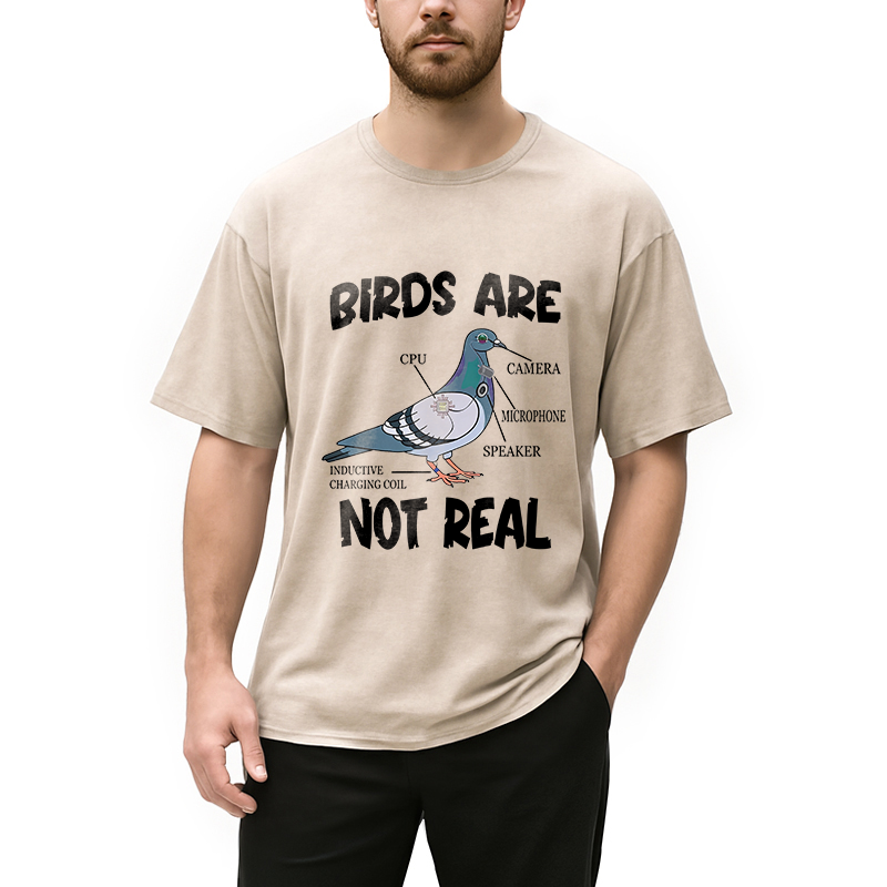 Modecanvas Pigeon Birds Are Not Real Funny DTG Printing Washed T-Shirt