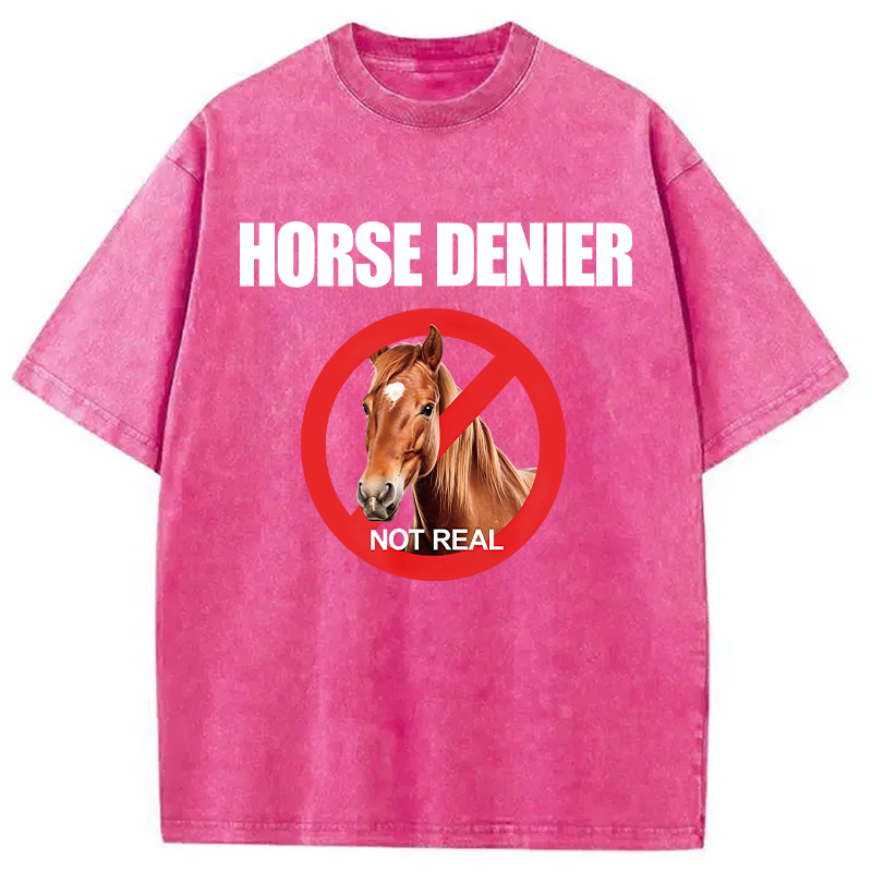 Modecanvas Horse Denier Funny Horses Washed T-Shirt-modecanvas