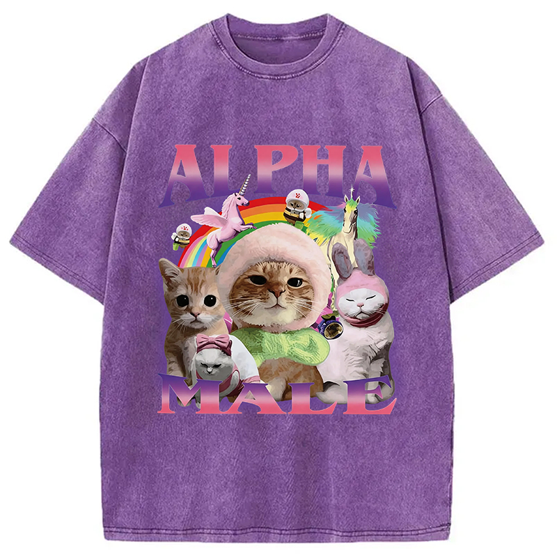 Modecanvas Alpha Male Funny Cat Meme DTG Printing Washed T-Shirt