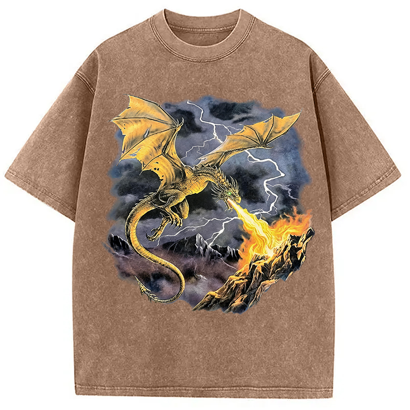 Modecanvas Vintage Dragon DTG Printing Washed T-Shirt