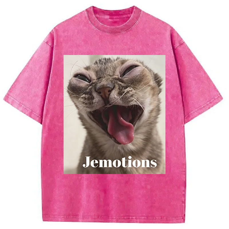 Modecanvas Jemotions Cat Meme DTG Printing Washed T-Shirt
