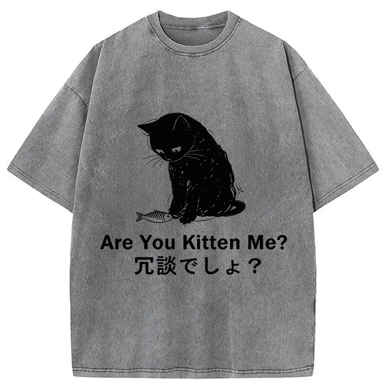 Modecanvas Are You Kitten Me DTG Printing Washed T-Shirt