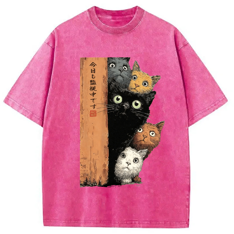Modecanvas Cats Are Watching You Washed T-Shirt