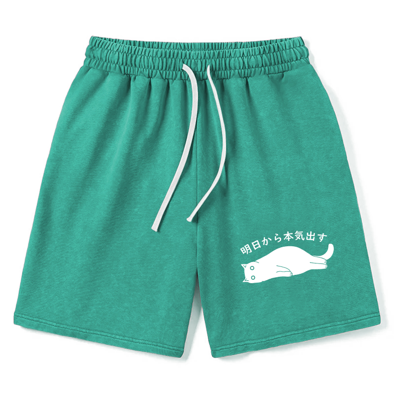 Modecanvas I'm Going To Get Serious Tomorrow Washed Shorts
