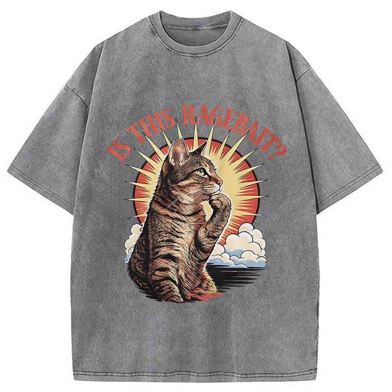Modecanvas Is This Ragebait? Cat Meme DTG Printing Washed T-Shirt