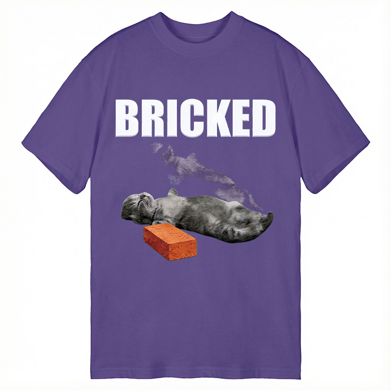 Modecanvas Bricked Funny Cat Knocked Out DTG Printing Classic T-Shirt-modecanvas