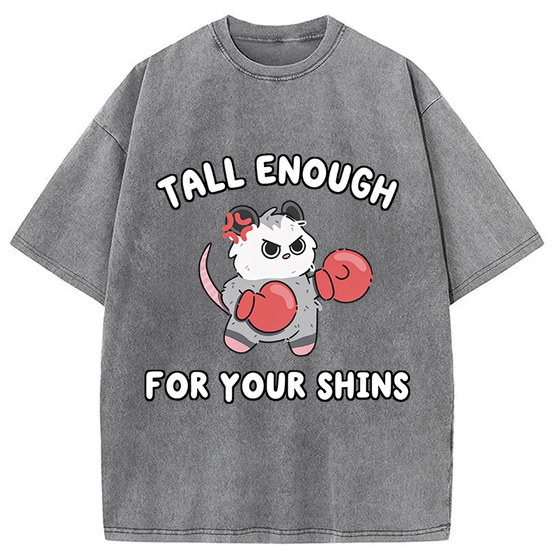 Modecanvas Tall Enough For Your Shins DTG Printing Washed T-Shirt