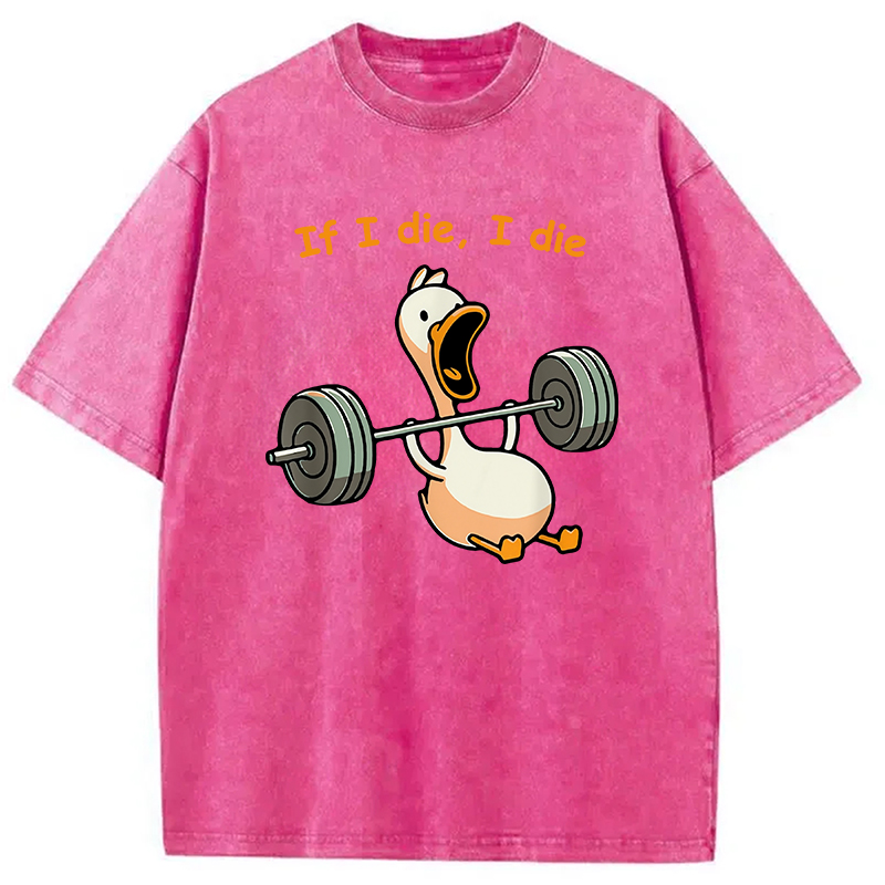 Modecanvas I Die Funny Meme Washed T-Shirt