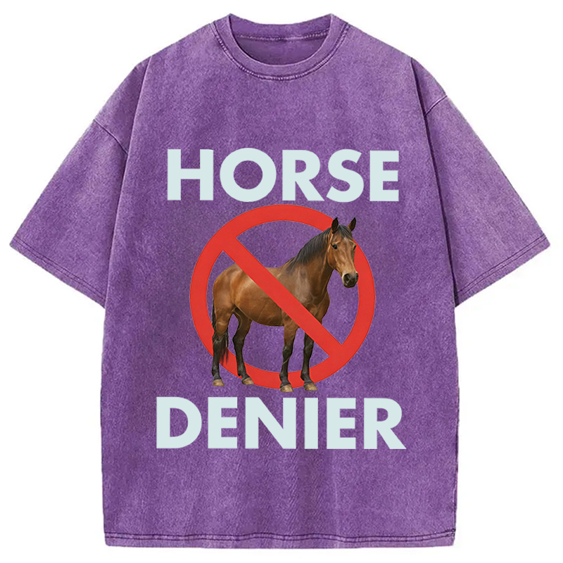 Modecanvas Funny Horse Denier Conspiracy Theory Washed T-Shirt-modecanvas