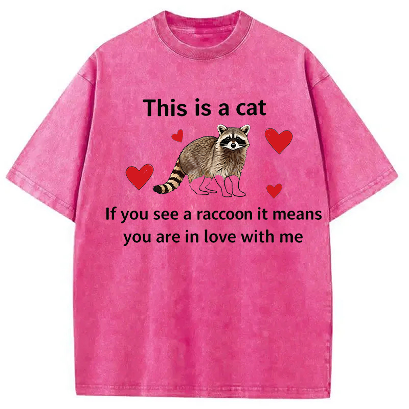 Modecanvas If You See A Raccoon DTG Printing Washed T-Shirt