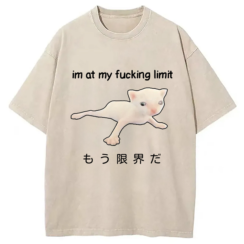 Modecanvas Cat Reaching Its Limit Washed T-Shirt-modecanvas
