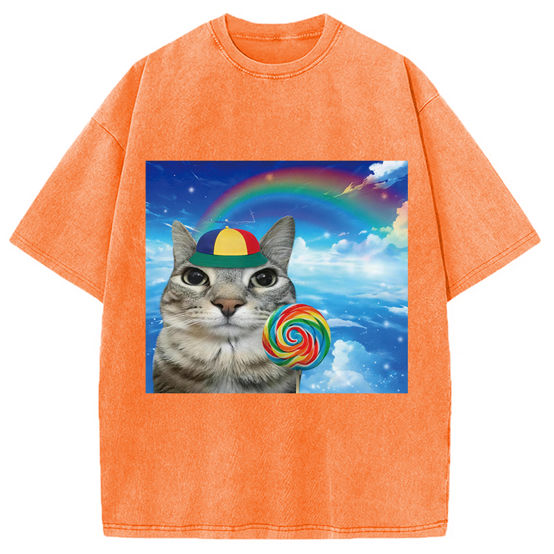 Modecanvas Wholesome Rainbow Cat DTG Printing Washed T-Shirt