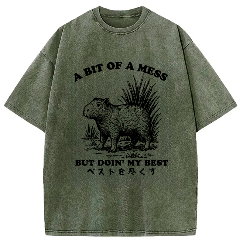 Modecanvas Capybara Doing Its Best Washed T-Shirt