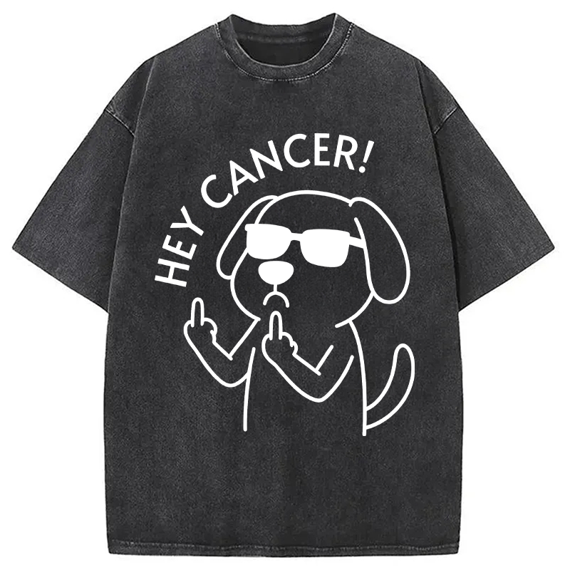 Modecanvas Hey Dog Cancer DTG Printing Washed T-Shirt