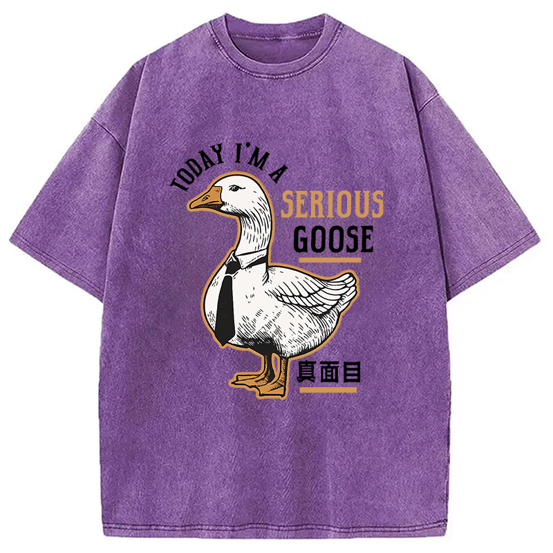 Modecanvas Japanese Serious Goose Washed T-Shirt