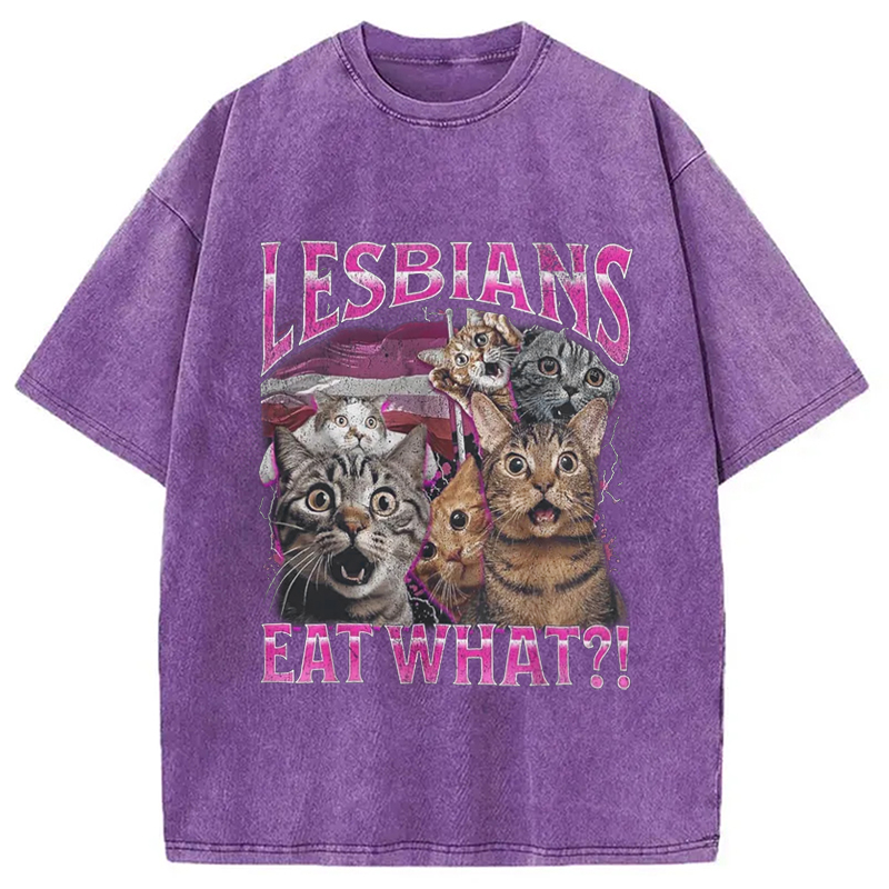 Modecanvas Lesbians Eat What?! Funny Washed T-Shirt-modecanvas
