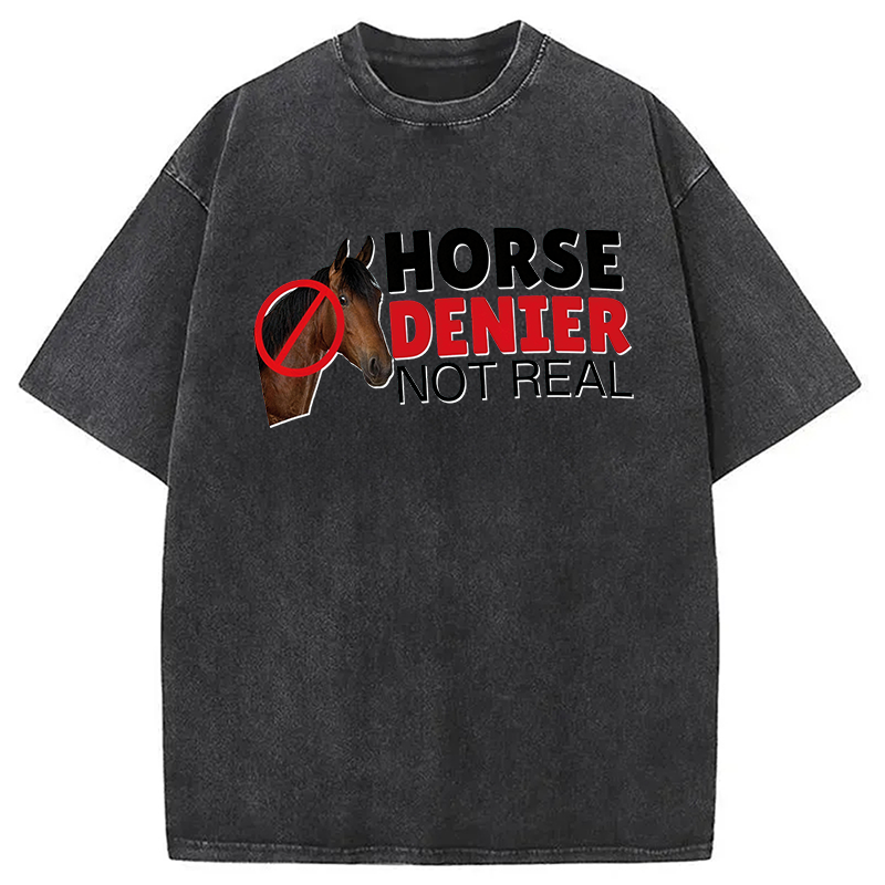 Modecanvas Horse Denier They Are Not Real DTG Printing Washed T-Shirt