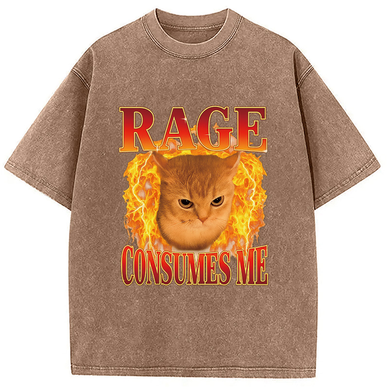 Modecanvas Rage Consumes Me Edgy Funny Cat Meme Washed T-Shirt-modecanvas
