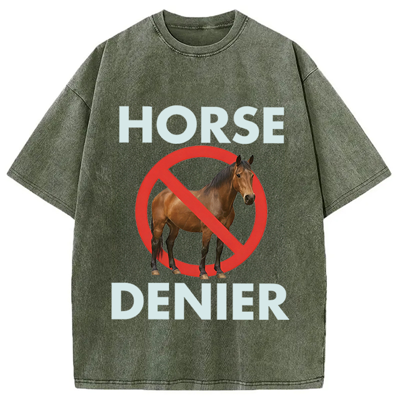 Modecanvas Funny Horse Denier Conspiracy Theory Washed T-Shirt-modecanvas