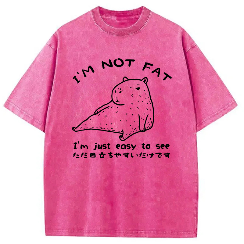 Modecanvas Capybara Fat Just Easy to See Washed T-Shirt