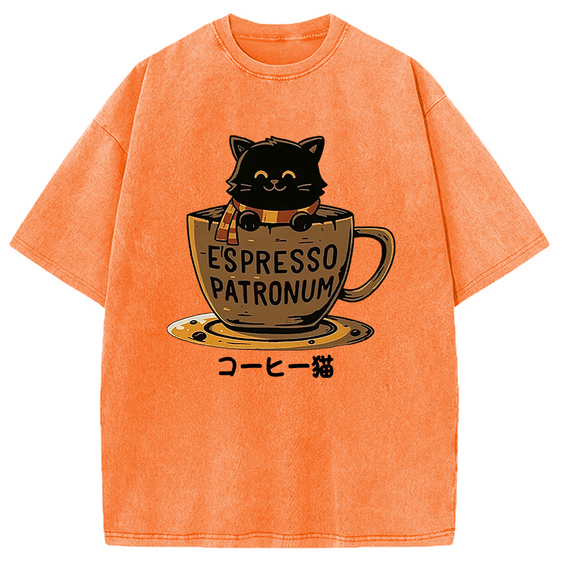 Modecanvas Cat In A Coffee Cup Washed T-Shirt