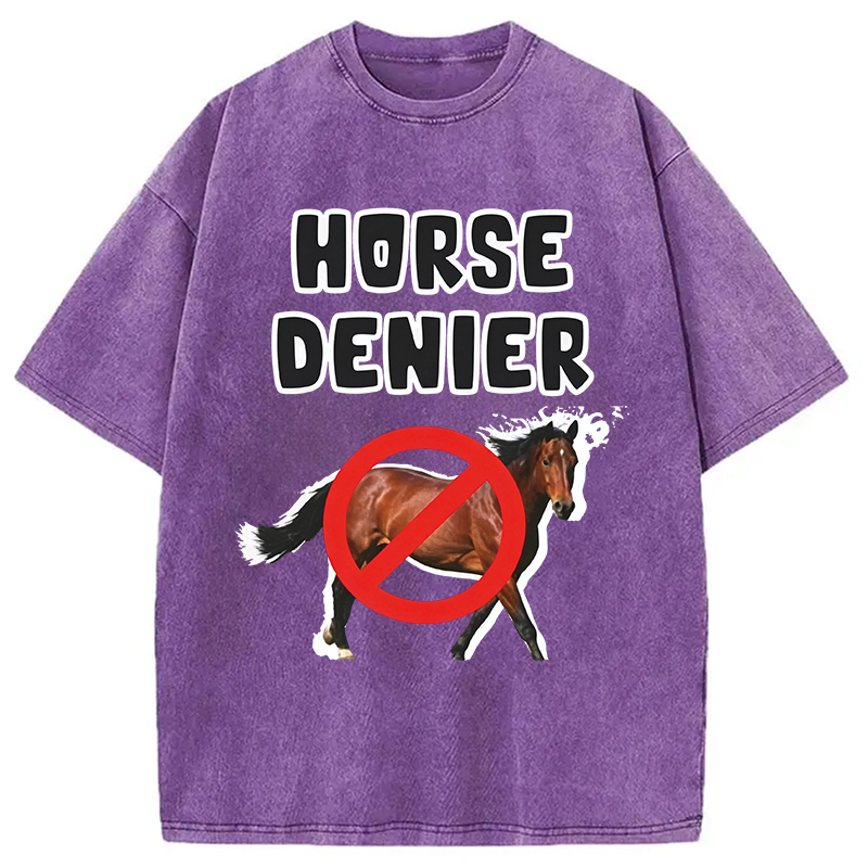 Modecanvas Horse Denier Funny Meme DTG Printing Washed T-Shirt