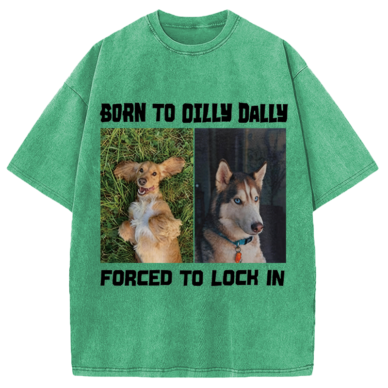 Modecanvas Born to Dilly Dally Forced to Lock In Funny Dog Meme DTG Printing Washed T-Shirt