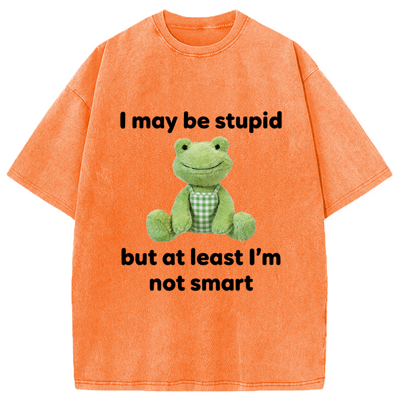 Modecanvas I May Be Stupid Alcohol Lover DTG Printing Washed T-Shirt
