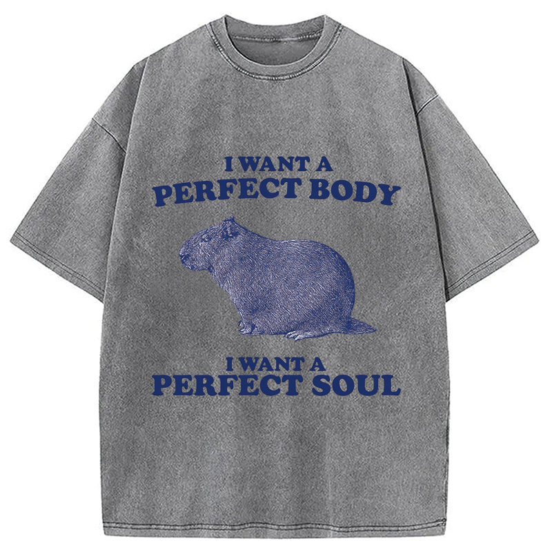 Modecanvas Capybara I Want A Perfect Washed T-Shirt
