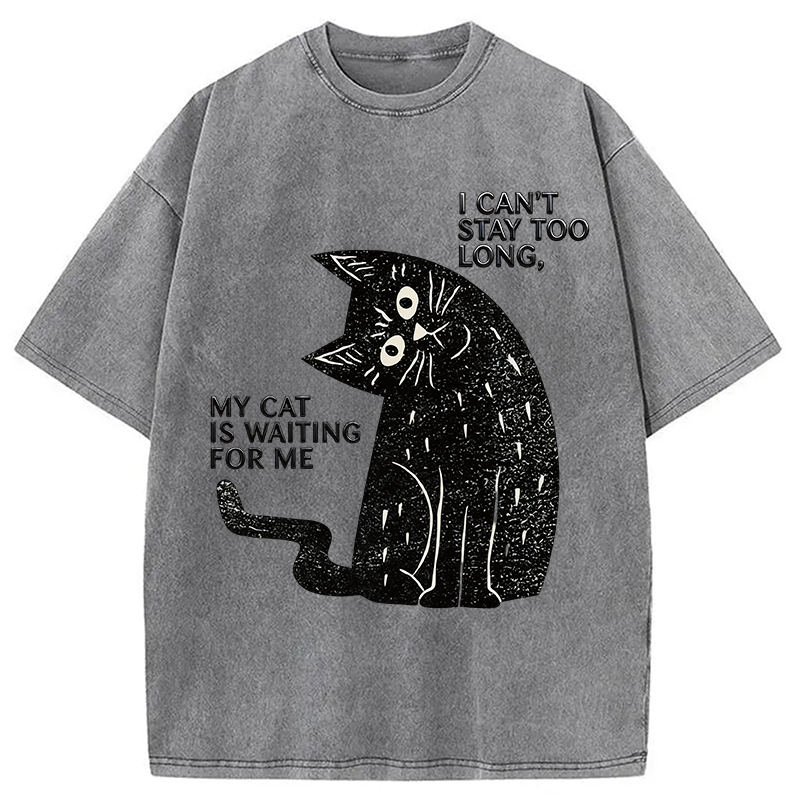 Modecanvas My Cat Is Waiting for Me Washed T-Shirt