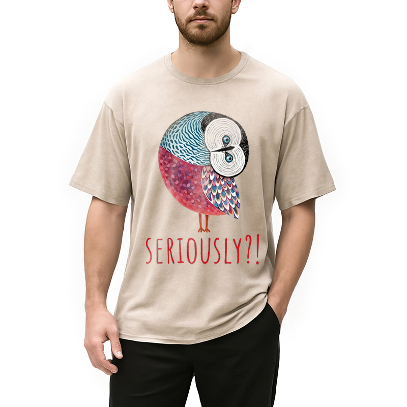 Modecanvas Seriously Art Owl DTG Printing Washed T-Shirt