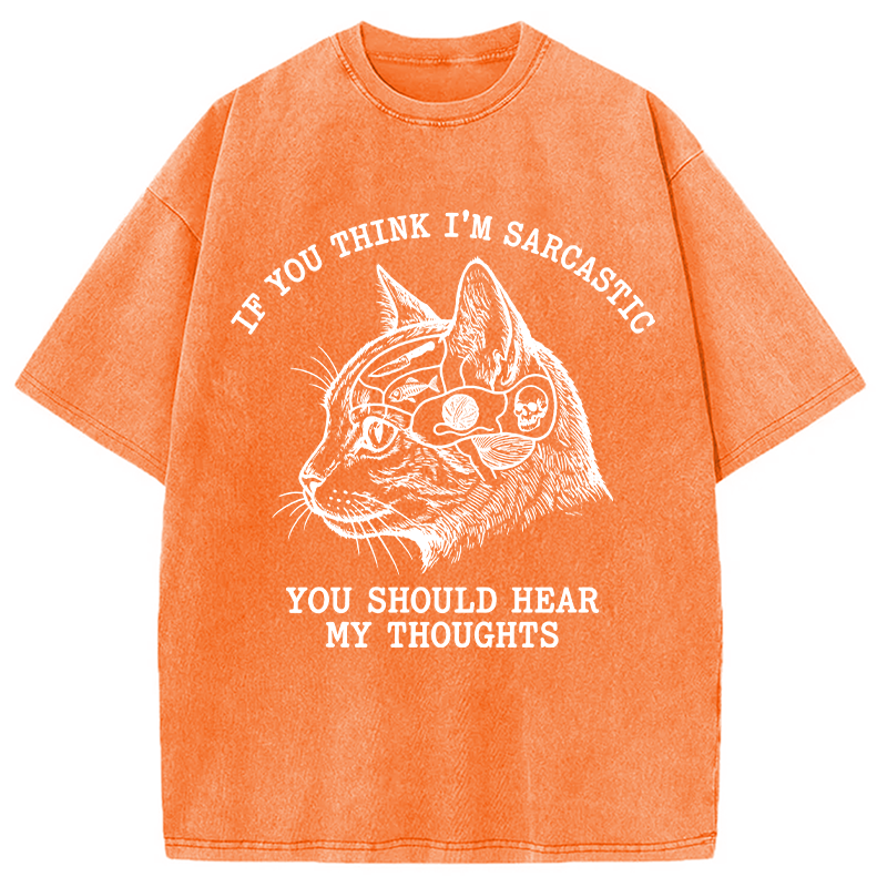 Modecanvas Sarcastic Thoughts Funny Cat DTG Printing Washed T-Shirt